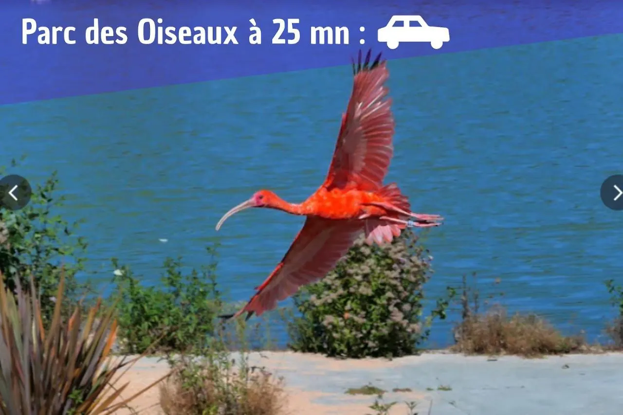 شقة L'Ambre - 1 A 4P - Wifi Fibre - Parking Gratuit Pont-dʼAin